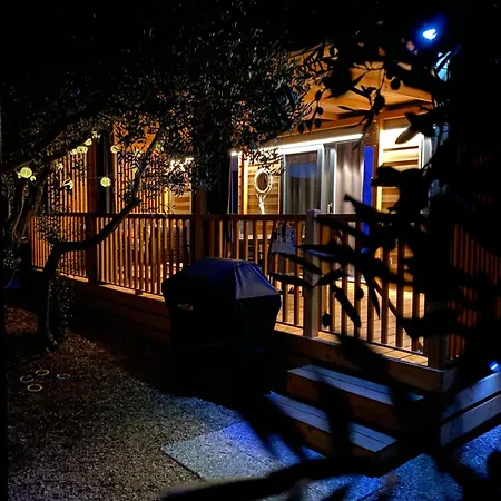 Mobile Tara ドラゲ