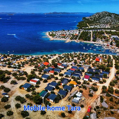 Mobile Tara 德拉格